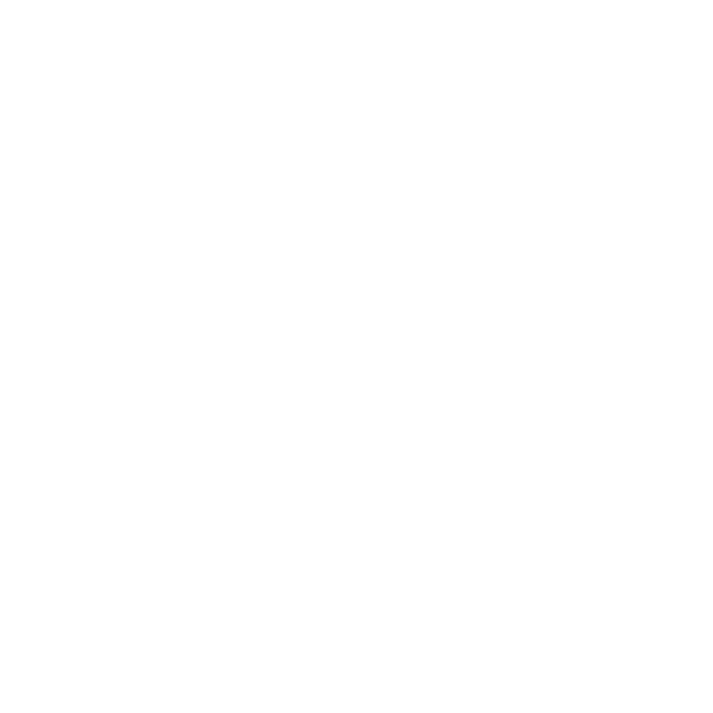 Shopkippa Logo